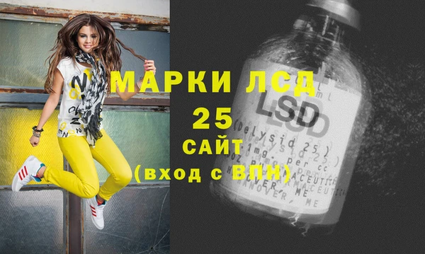 гашик Арсеньев