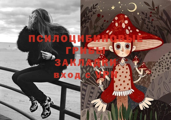 гашик Балахна