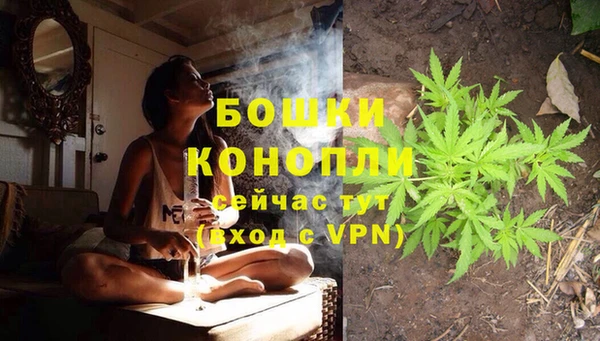 PSILOCYBIN Баксан