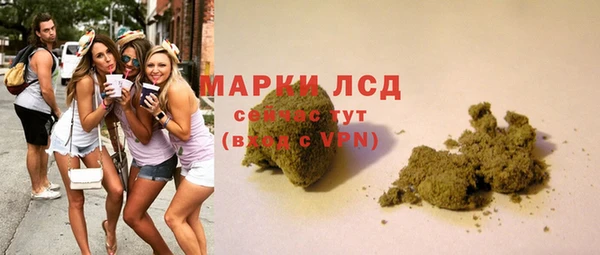 PSILOCYBIN Баксан