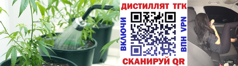 магазин продажи наркотиков  Грязовец  ТГК вейп 